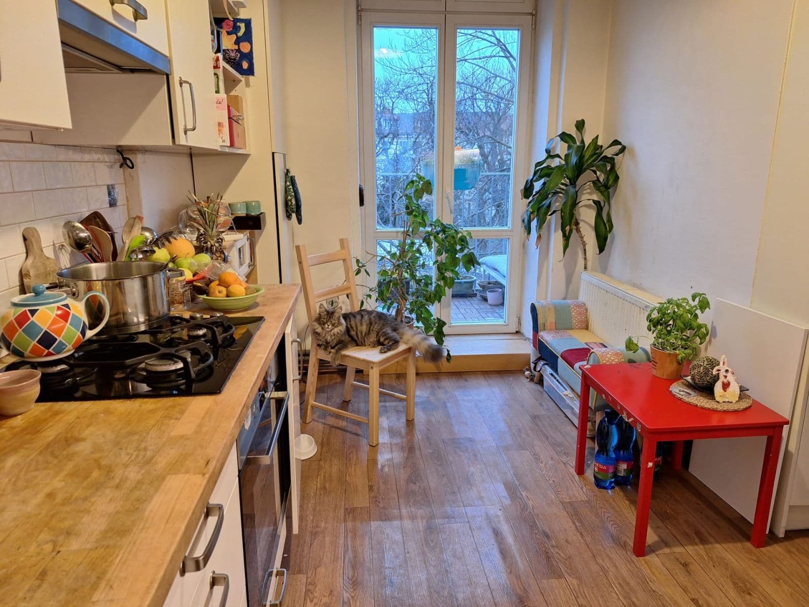 Prenájom bytu 3-izbový 78 m², Bezručova, Brno, Jihomoravský kraj Prenájom bytu 3-izbový 78 m², Bezručova, Brno, Jihomoravský kraj