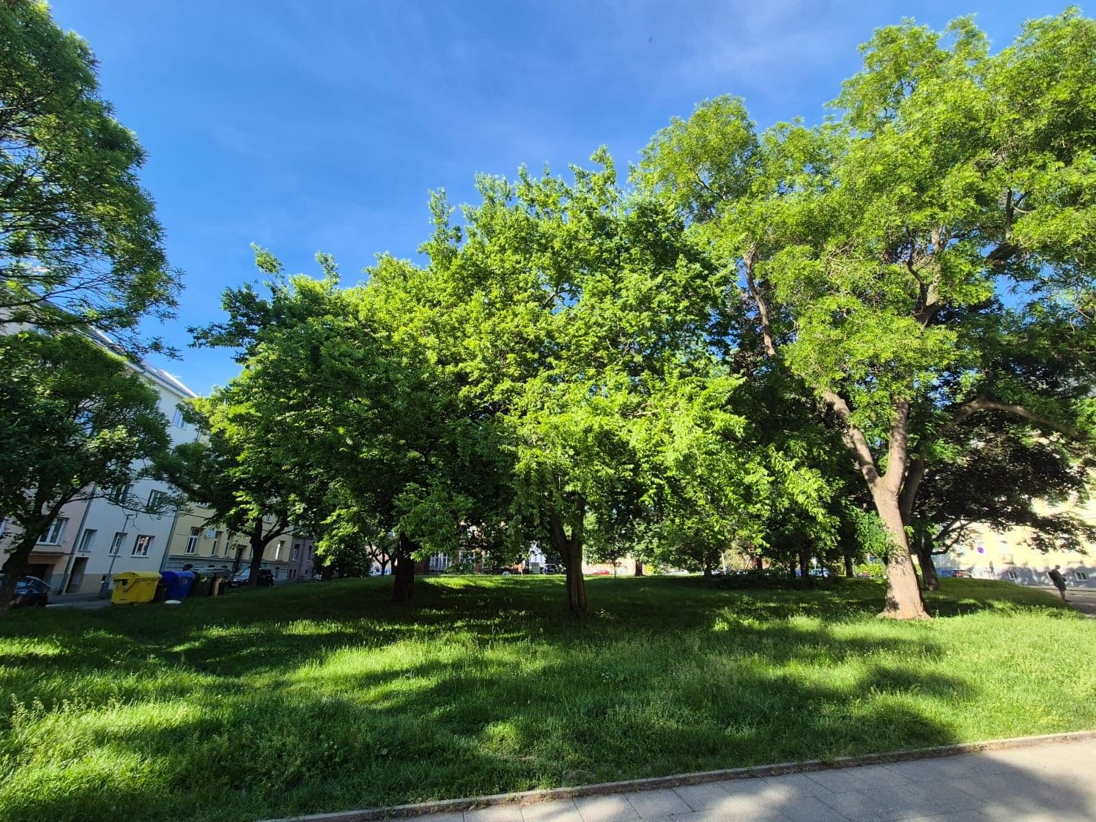 Predaj bytu 3-izbový 78 m², Zacpalova, Opava, Moravskoslezský kraj Predaj bytu 3-izbový 78 m², Zacpalova, Opava, Moravskoslezský kraj