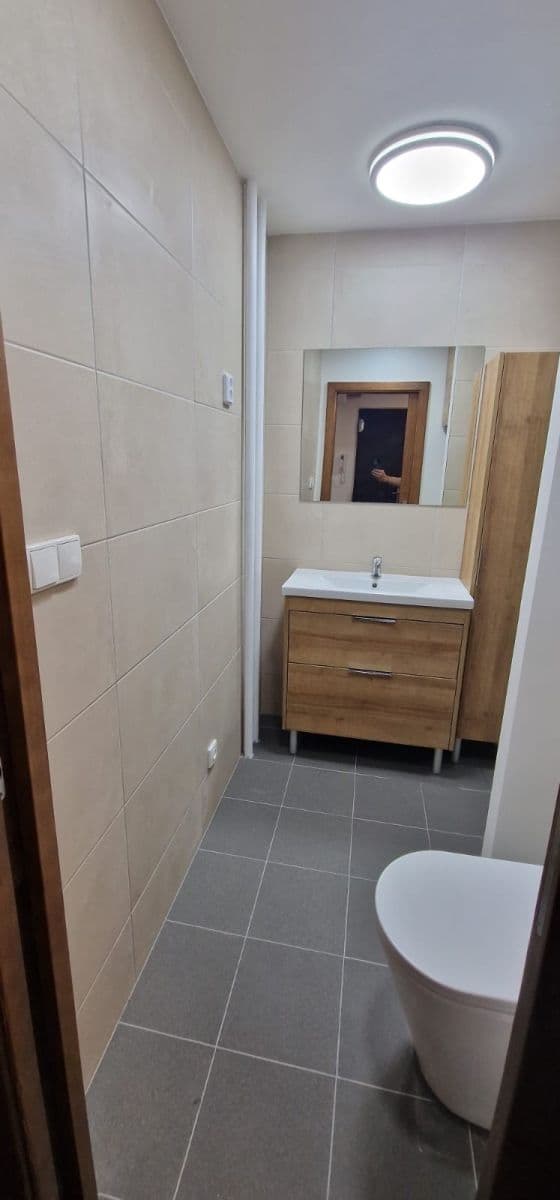 Prenájom bytu 3-izbový 71 m², Smrková, Plzeň, Plzeňský kraj Prenájom bytu 3-izbový 71 m², Smrková, Plzeň, Plzeňský kraj