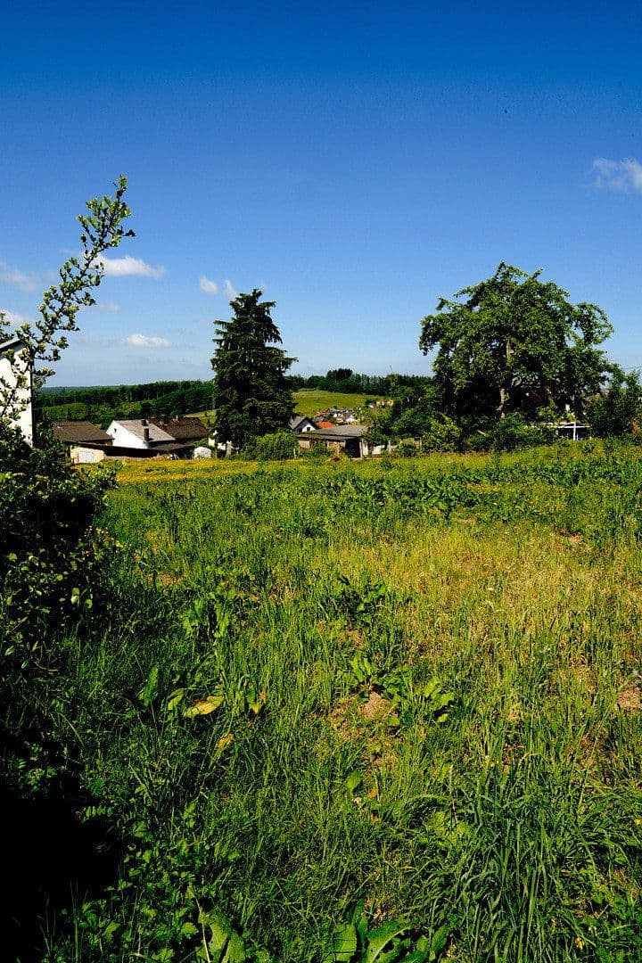 Predaj pozemku 1.205 m², Waldstr. 7, Hilgert, Porýnie-Falcko Predaj pozemku 1.205 m², Waldstr. 7, Hilgert, Porýnie-Falcko