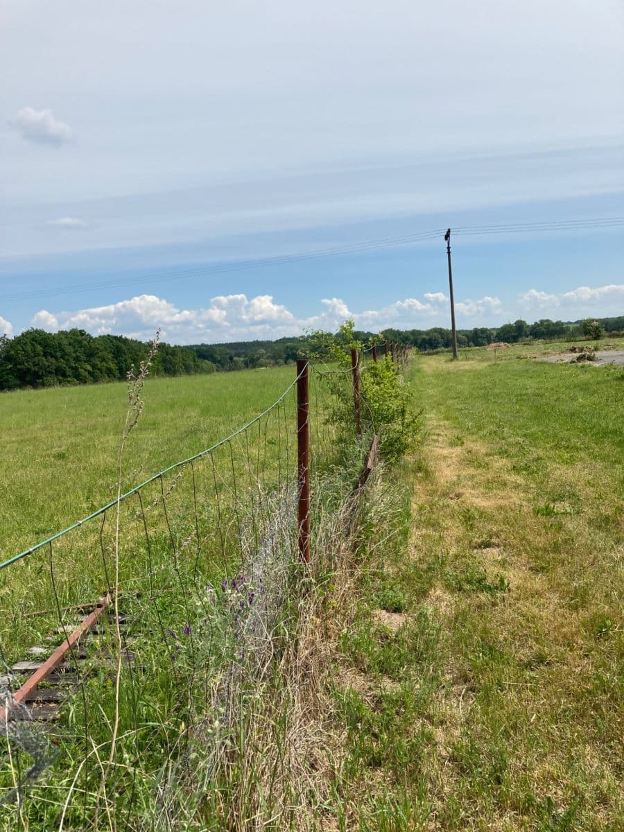 Predaj pozemku 800 m², Veselí, Pardubický kraj Predaj pozemku 800 m², Veselí, Pardubický kraj