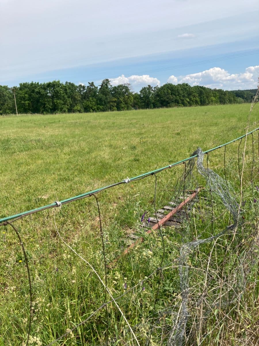 Predaj pozemku 800 m², Veselí, Pardubický kraj Predaj pozemku 800 m², Veselí, Pardubický kraj
