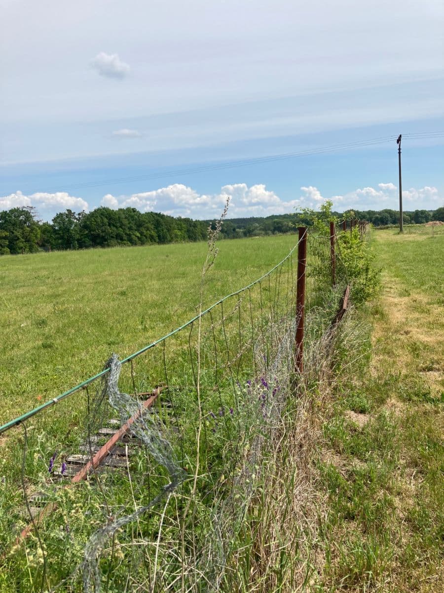 Predaj pozemku 800 m², Veselí, Pardubický kraj Predaj pozemku 800 m², Veselí, Pardubický kraj