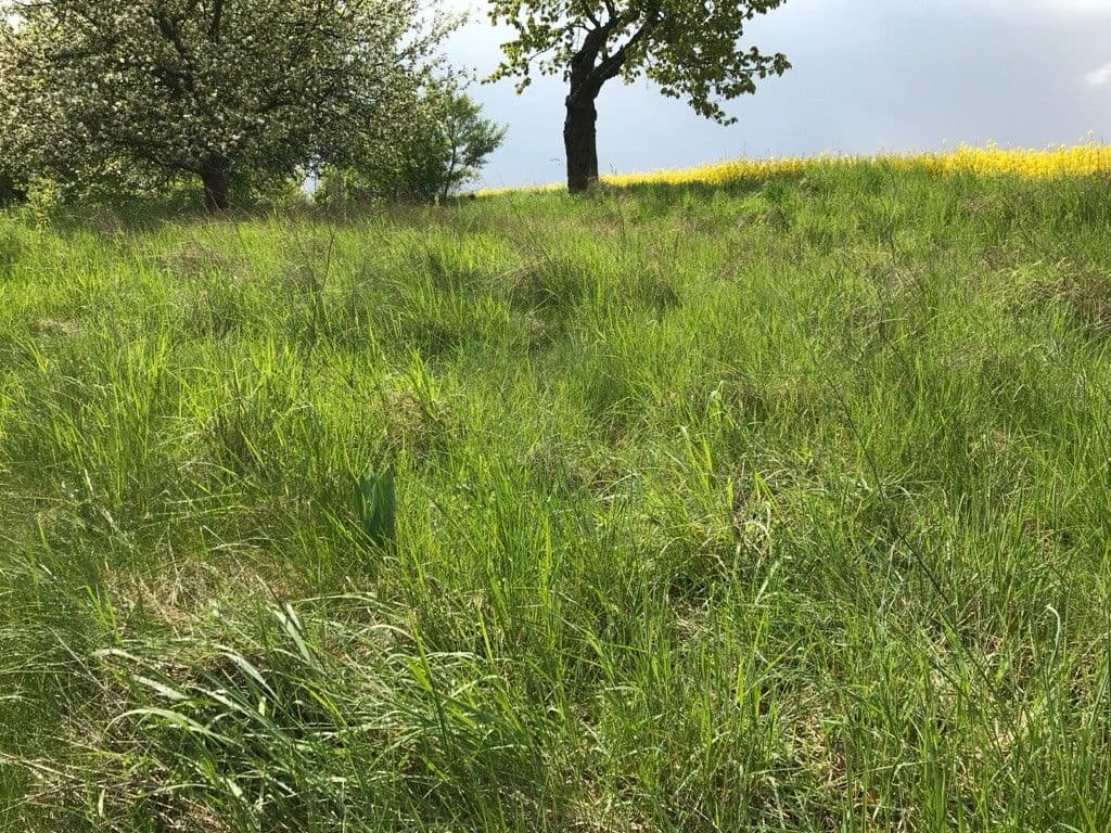 Prenájom pozemku 5.711 m², Dalovice, Středočeský kraj Prenájom pozemku 5.711 m², Dalovice, Středočeský kraj