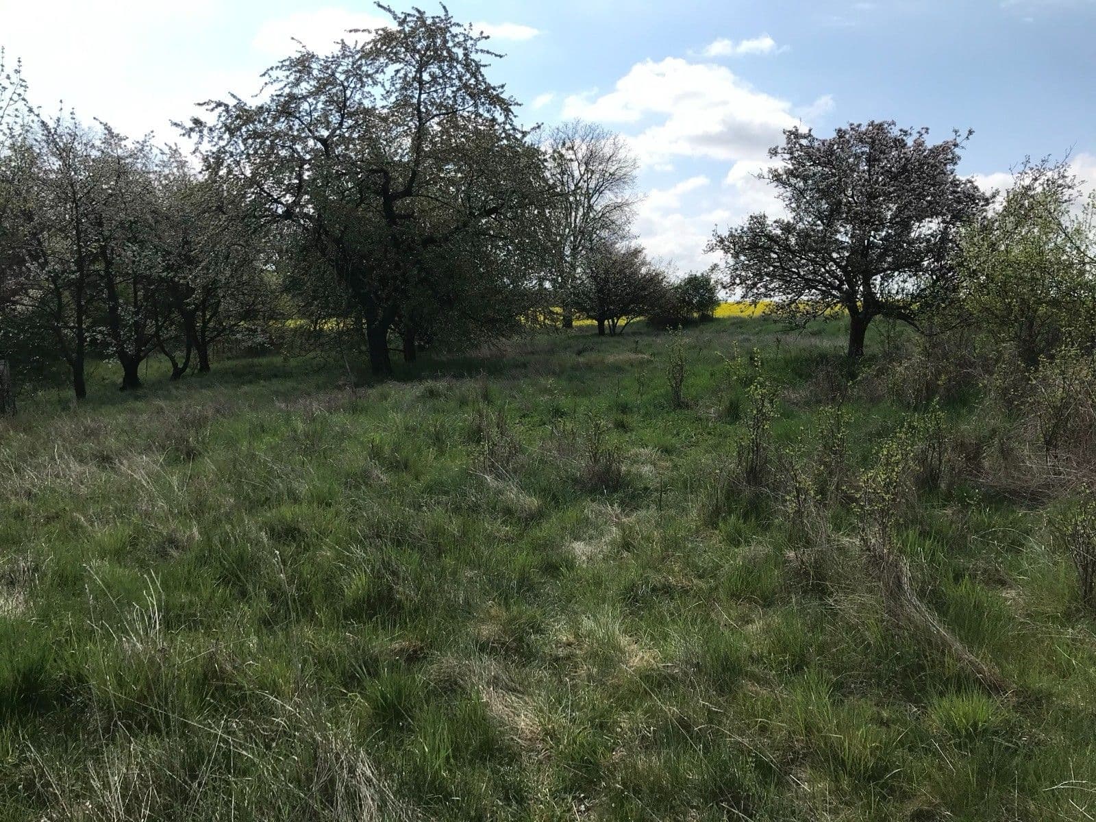 Prenájom pozemku 5.711 m², Dalovice, Středočeský kraj Prenájom pozemku 5.711 m², Dalovice, Středočeský kraj