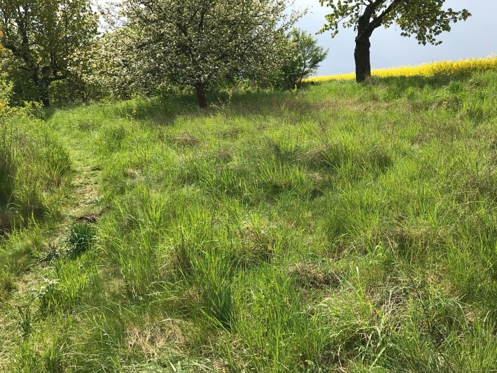Prenájom pozemku 5.711 m², Dalovice, Středočeský kraj Prenájom pozemku 5.711 m², Dalovice, Středočeský kraj