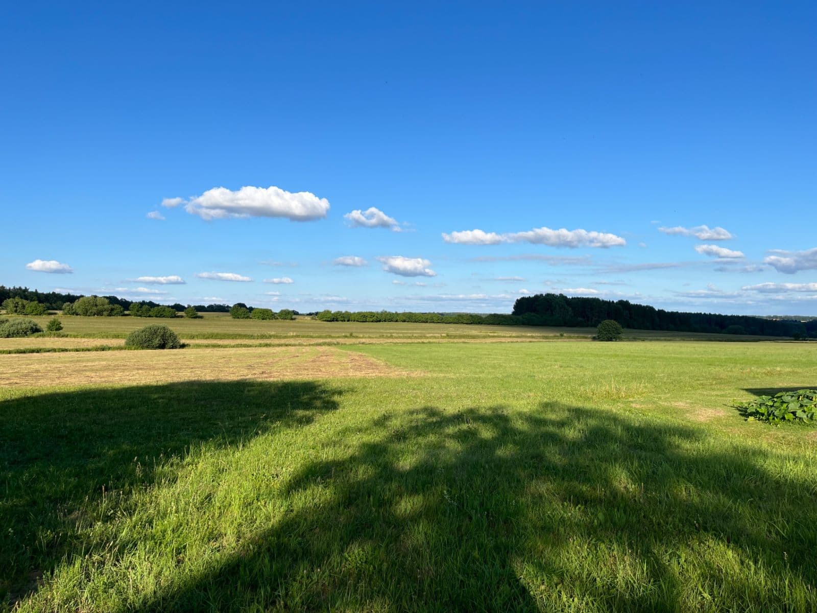 Predaj pozemku 2.500 m², Opařany, Jihočeský kraj Predaj pozemku 2.500 m², Opařany, Jihočeský kraj