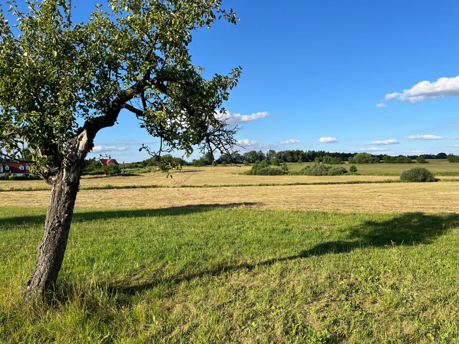 Predaj pozemku 2.500 m², Opařany, Jihočeský kraj Predaj pozemku 2.500 m², Opařany, Jihočeský kraj