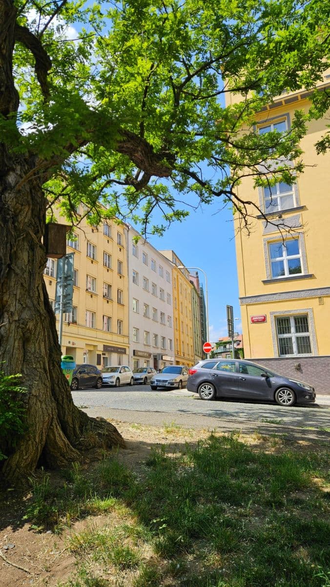Prenájom bytu 2-izbový 42 m², Horní, Praha, Praha Prenájom bytu 2-izbový 42 m², Horní, Praha, Praha