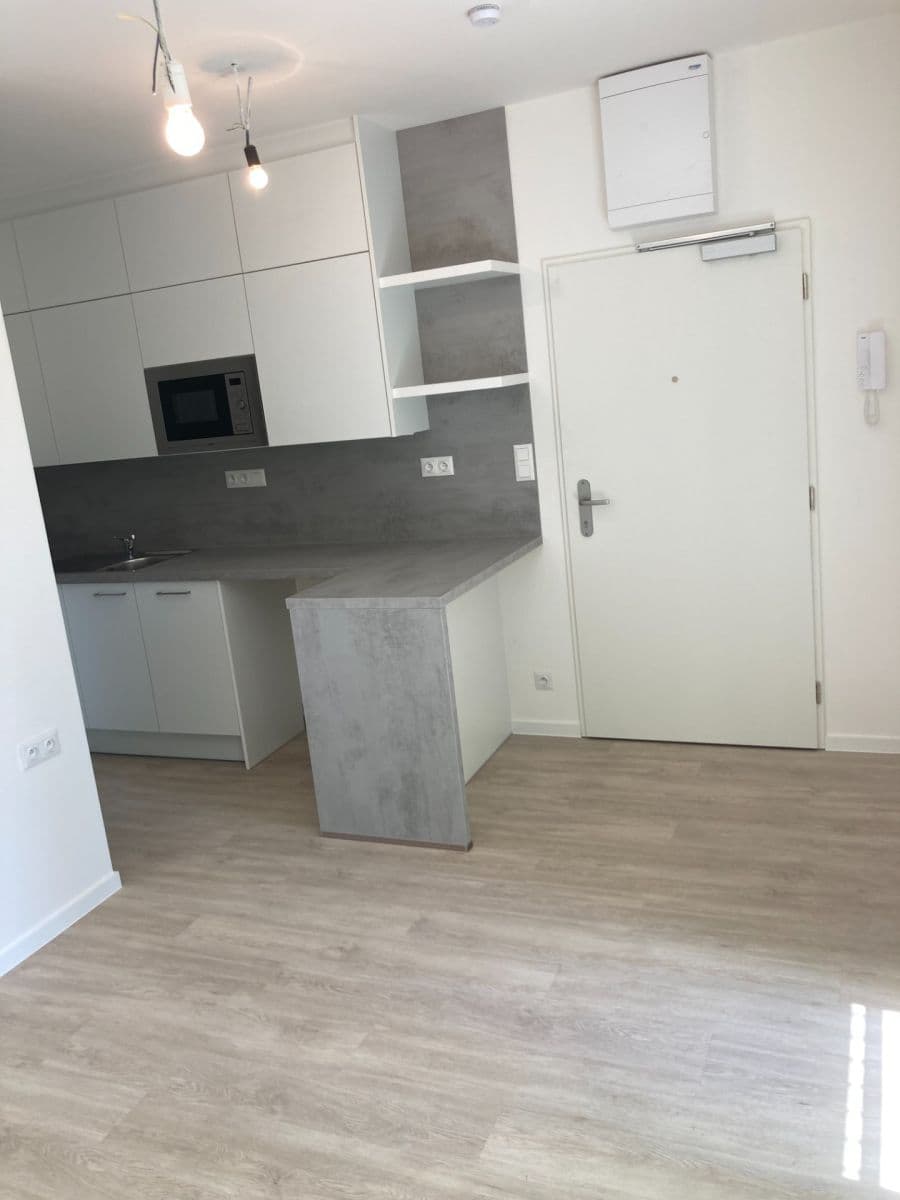 Prenájom bytu 1-izbový 20 m², Svitavská, Brno, Jihomoravský kraj Prenájom bytu 1-izbový 20 m², Svitavská, Brno, Jihomoravský kraj