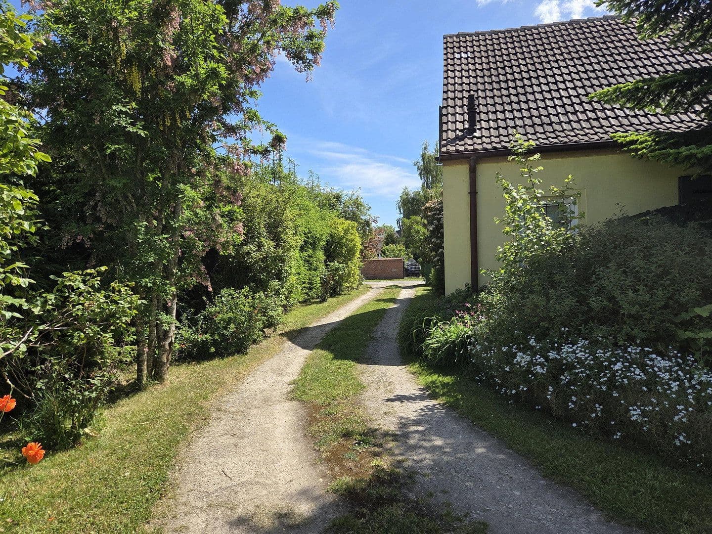 Predaj domu 175 m², pozemek 3.574 m², Usedom, Meklenbursko-Predpomoransko Predaj domu 175 m², pozemek 3.574 m², Usedom, Meklenbursko-Predpomoransko
