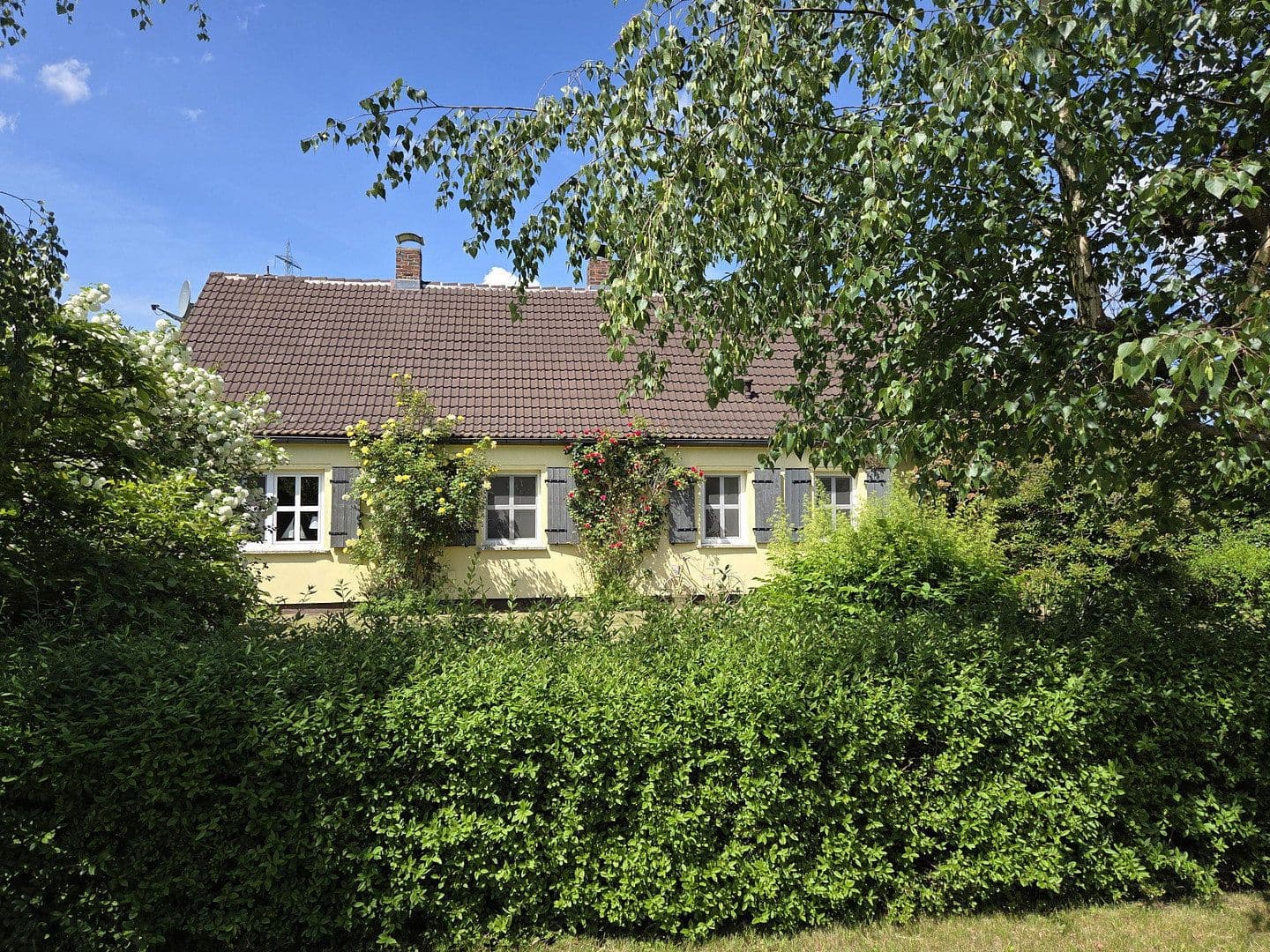 Predaj domu 175 m², pozemek 3.574 m², Usedom, Meklenbursko-Predpomoransko Predaj domu 175 m², pozemek 3.574 m², Usedom, Meklenbursko-Predpomoransko