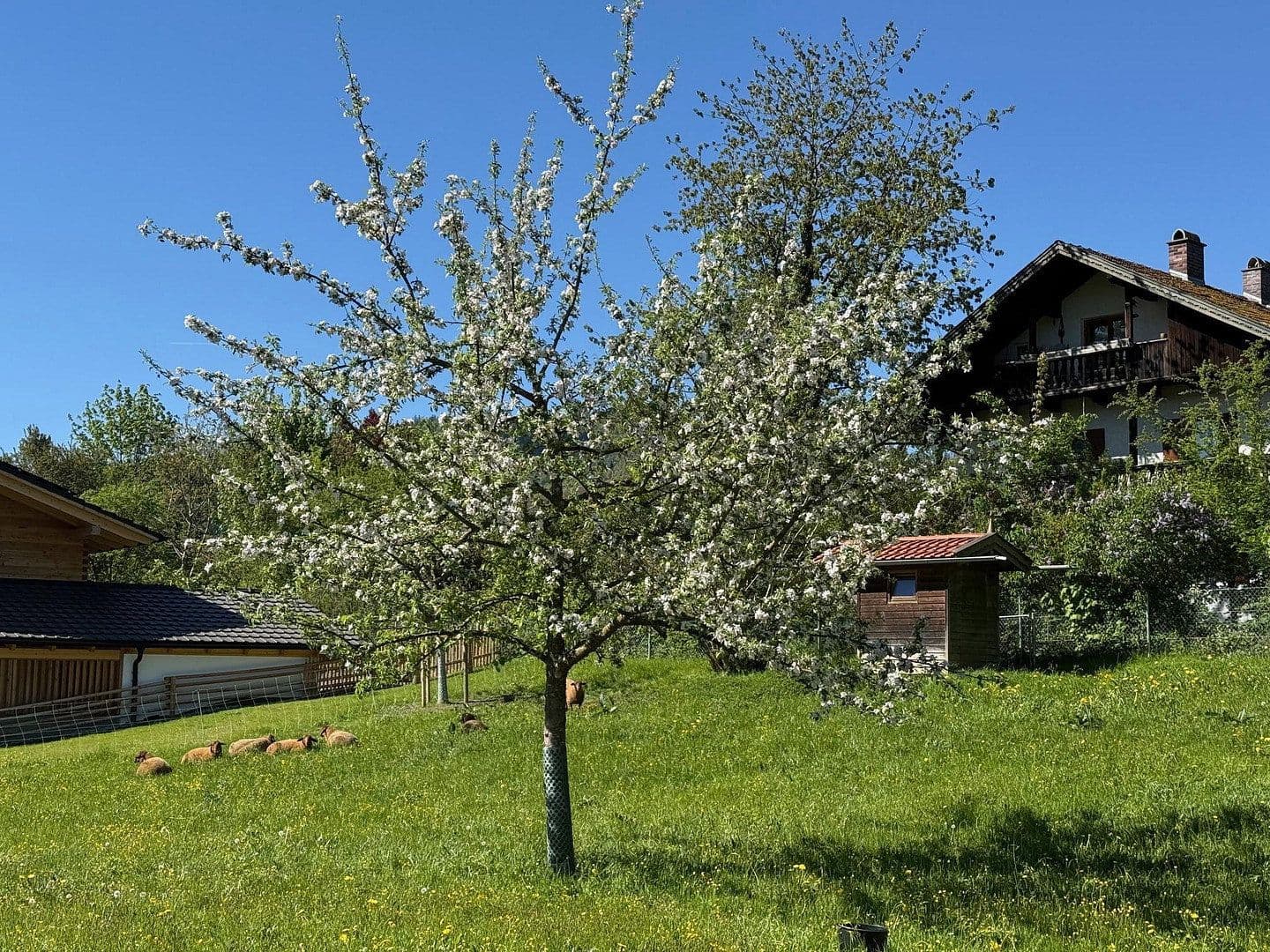 Predaj bytu 2-izbový 45 m², Oberaudorf, Bavorsko Predaj bytu 2-izbový 45 m², Oberaudorf, Bavorsko