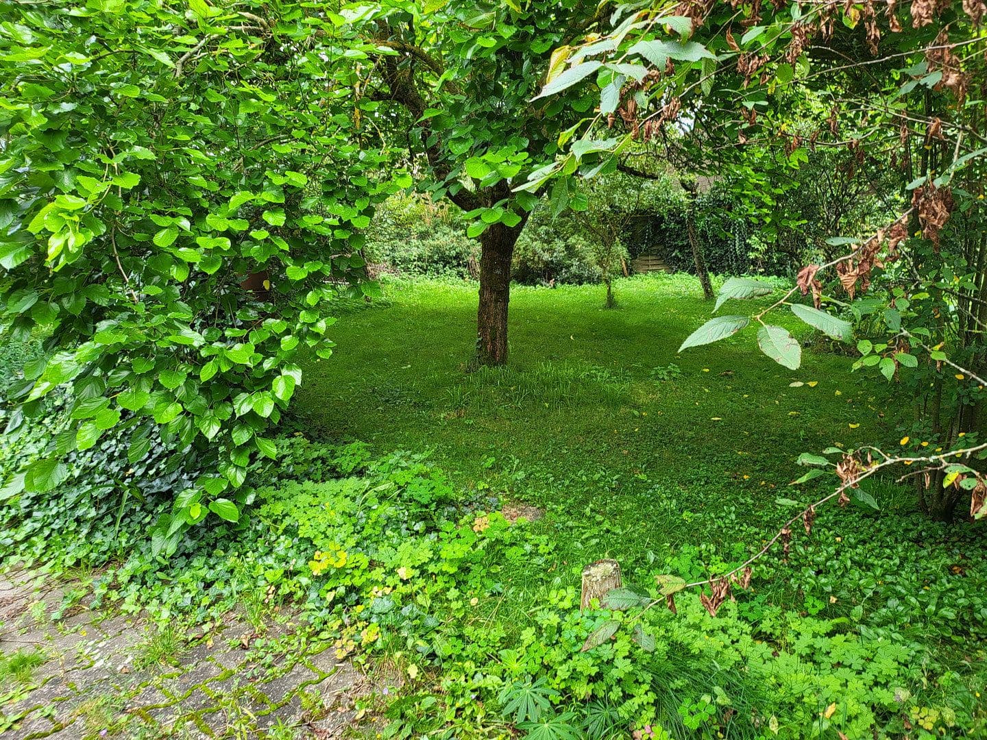 Prenájom bytu 2-izbový 80 m², Breiter Weg 6, Auderath, Porýnie-Falcko Prenájom bytu 2-izbový 80 m², Breiter Weg 6, Auderath, Porýnie-Falcko