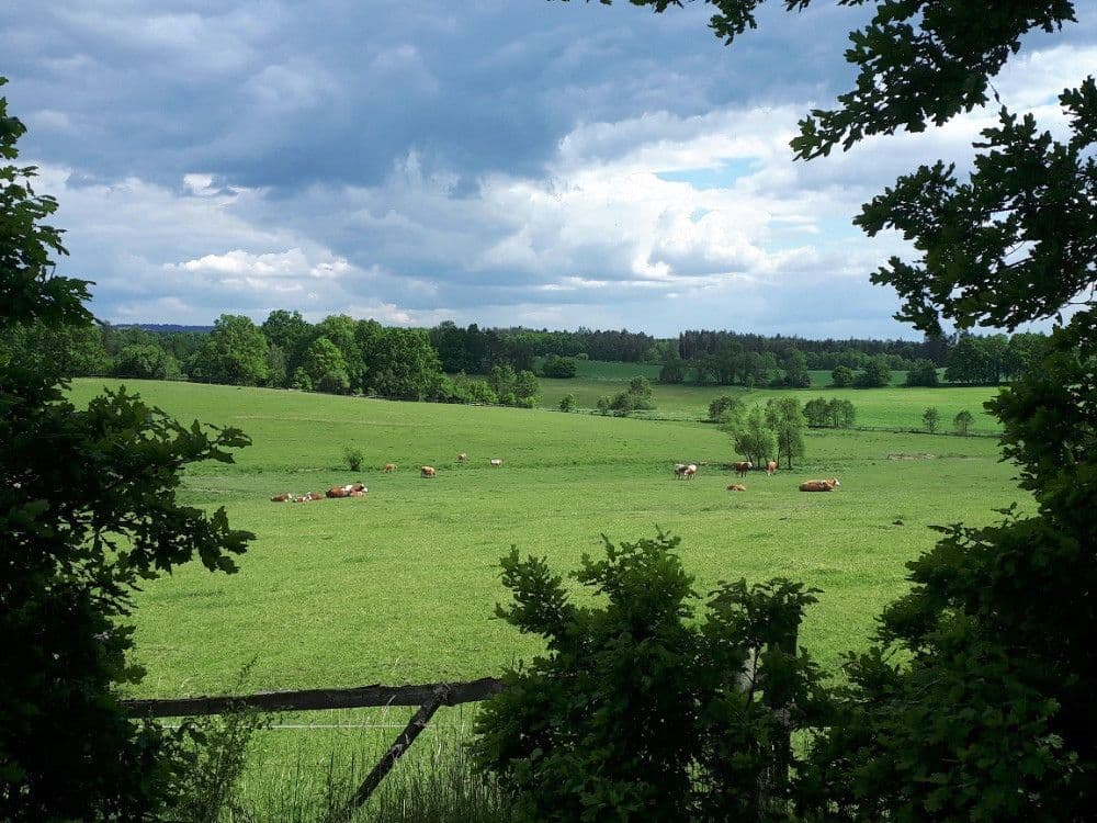 Predaj pozemku 2.678 m², Chotěmice, Jihočeský kraj Predaj pozemku 2.678 m², Chotěmice, Jihočeský kraj