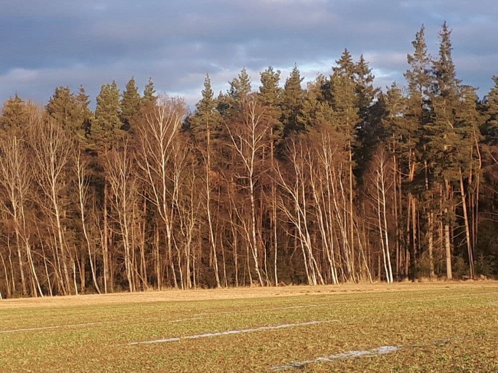 Predaj pozemku 2.678 m², Chotěmice, Jihočeský kraj Predaj pozemku 2.678 m², Chotěmice, Jihočeský kraj