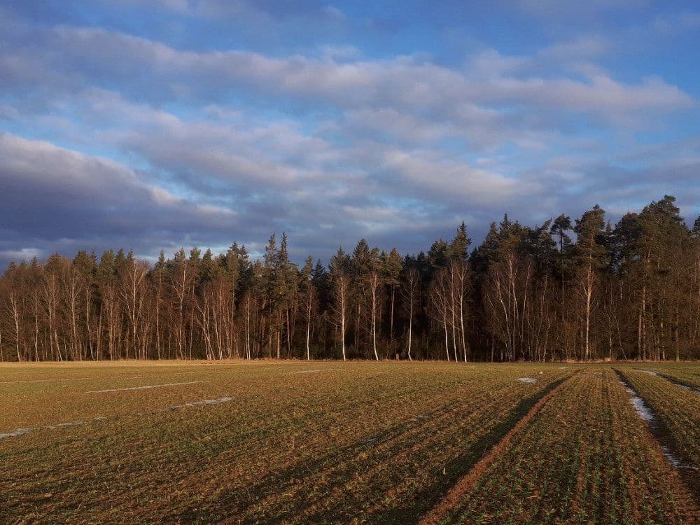 Predaj pozemku 2.678 m², Chotěmice, Jihočeský kraj Predaj pozemku 2.678 m², Chotěmice, Jihočeský kraj