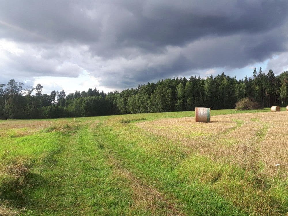 Predaj pozemku 2.678 m², Chotěmice, Jihočeský kraj Predaj pozemku 2.678 m², Chotěmice, Jihočeský kraj