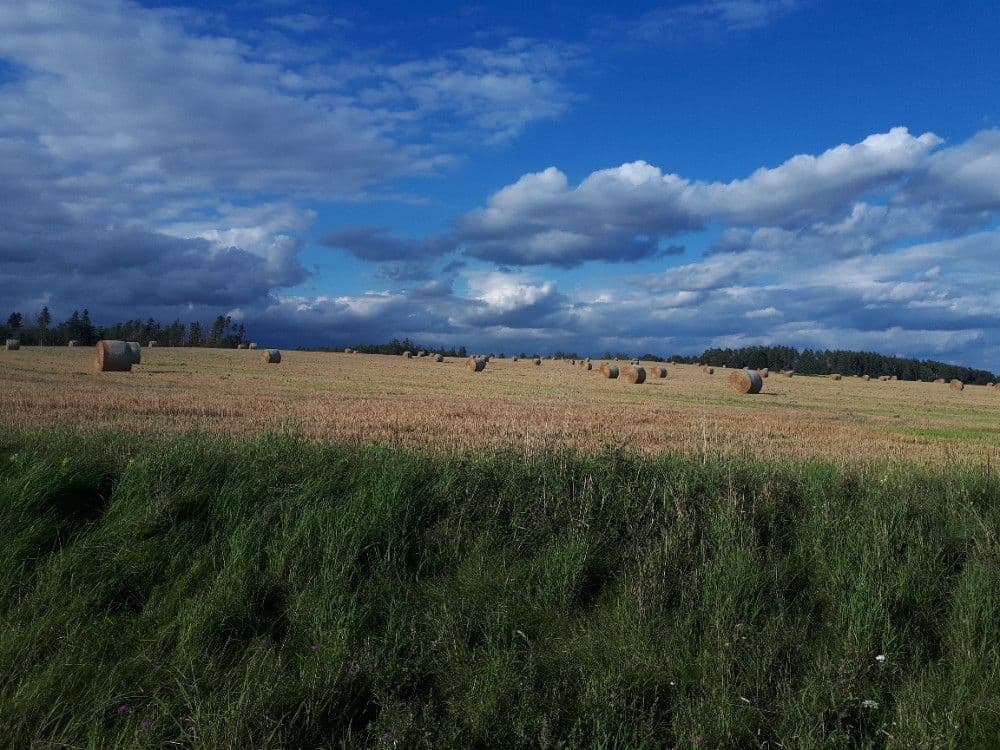 Predaj pozemku 2.678 m², Chotěmice, Jihočeský kraj Predaj pozemku 2.678 m², Chotěmice, Jihočeský kraj