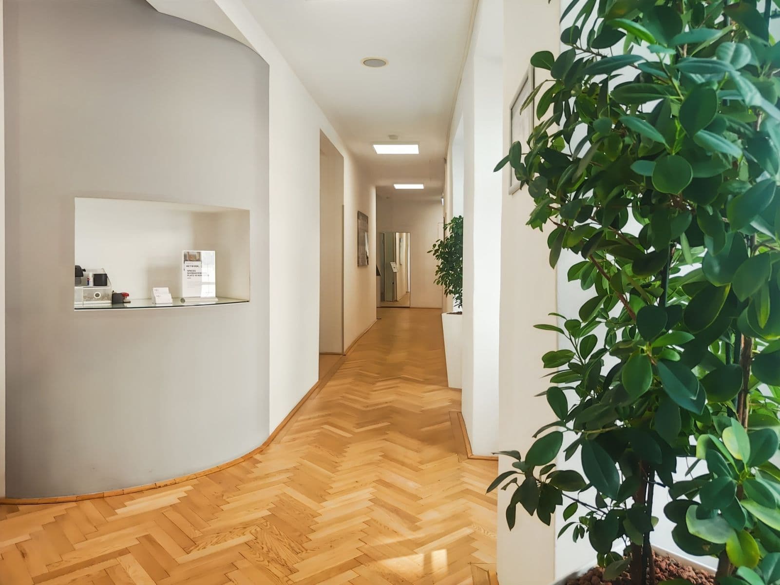 Prenájom kancelárie 550 m², Graben, Vienna, Viedeň Prenájom kancelárie 550 m², Graben, Vienna, Viedeň