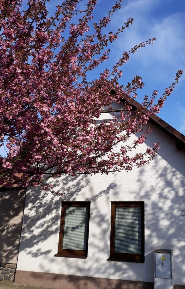Predaj domu 145 m², pozemok 1.679 m², Tyršova, Žiželice, Středočeský kraj Predaj domu 145 m², pozemok 1.679 m², Tyršova, Žiželice, Středočeský kraj