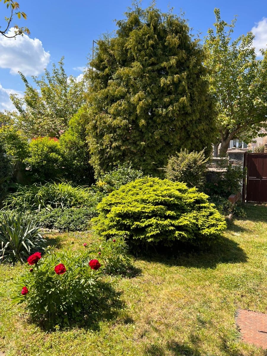 Predaj domu 145 m², pozemok 1.679 m², Tyršova, Žiželice, Středočeský kraj Predaj domu 145 m², pozemok 1.679 m², Tyršova, Žiželice, Středočeský kraj