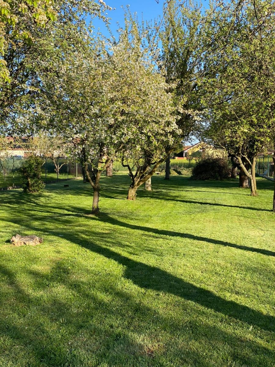 Predaj domu 145 m², pozemok 1.679 m², Tyršova, Žiželice, Středočeský kraj Predaj domu 145 m², pozemok 1.679 m², Tyršova, Žiželice, Středočeský kraj