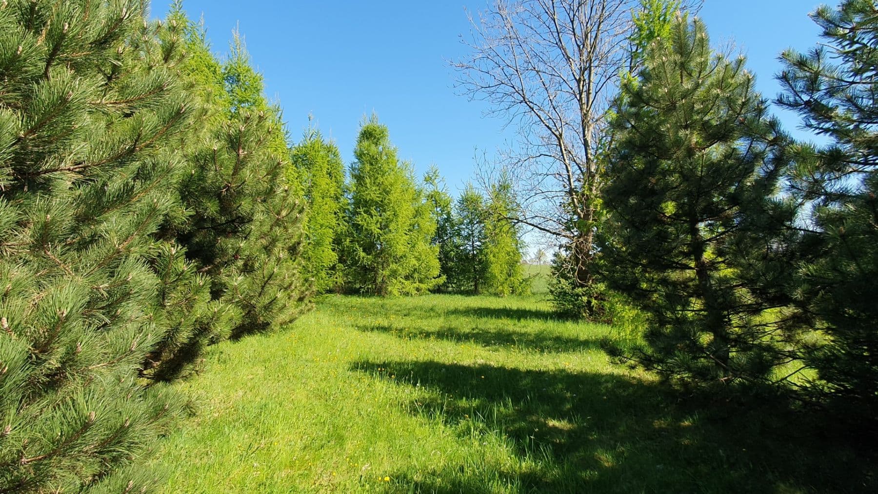 Predaj pozemku 1.096 m², Světlá pod Ještědem, Liberecký kraj Predaj pozemku 1.096 m², Světlá pod Ještědem, Liberecký kraj