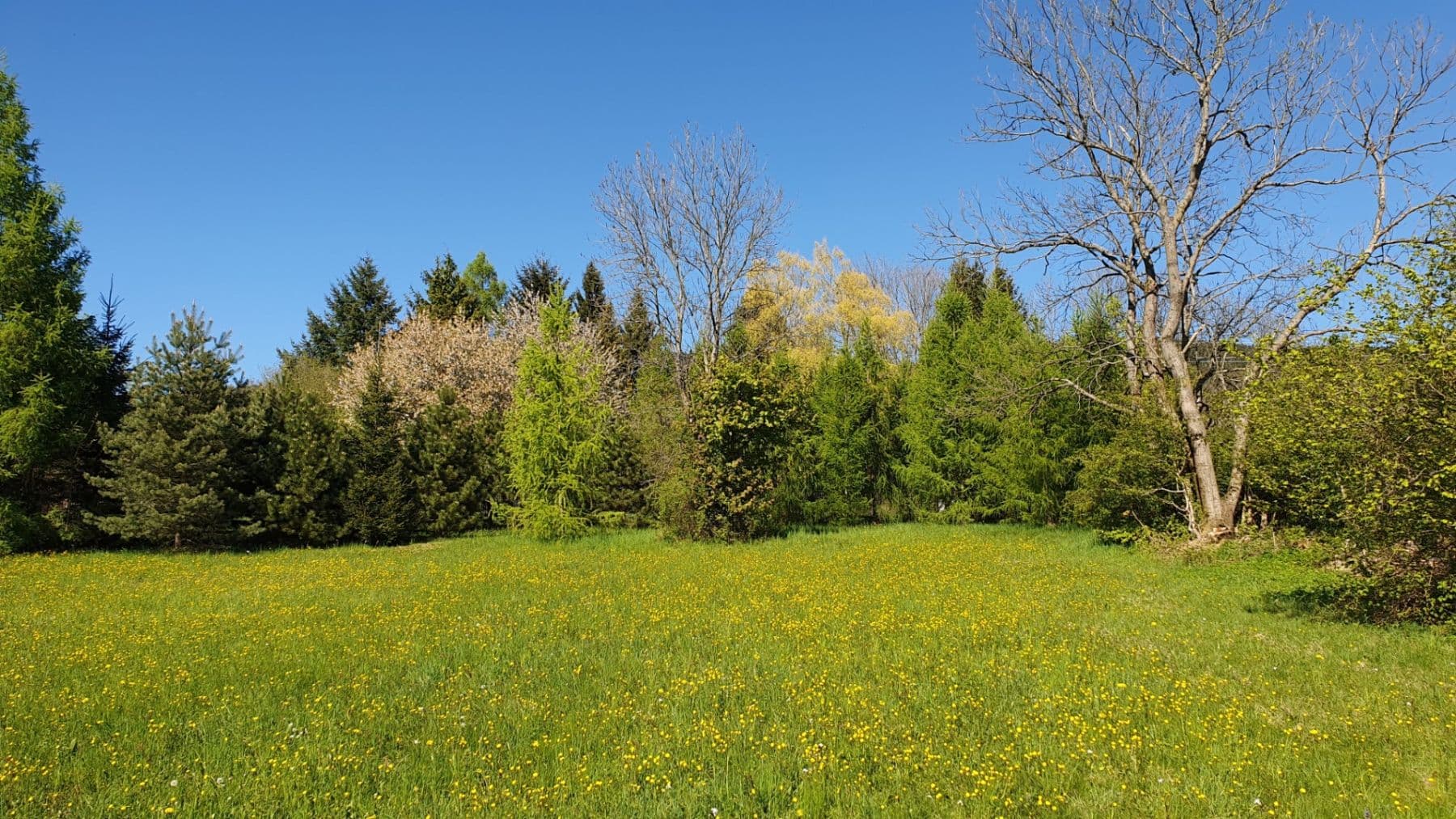 Predaj pozemku 1.096 m², Světlá pod Ještědem, Liberecký kraj Predaj pozemku 1.096 m², Světlá pod Ještědem, Liberecký kraj