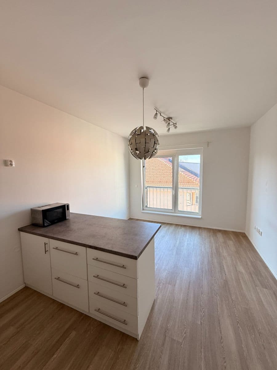 Prenájom bytu 1-izbový 25 m², Přadlácká, Brno, Jihomoravský kraj Prenájom bytu 1-izbový 25 m², Přadlácká, Brno, Jihomoravský kraj