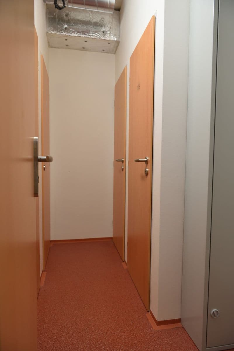 Prenájom bytu 1-izbový 25 m², Přadlácká, Brno, Jihomoravský kraj Prenájom bytu 1-izbový 25 m², Přadlácká, Brno, Jihomoravský kraj