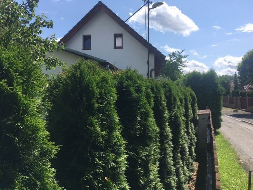 Prenájom domu 120 m², pozemek 300 m², Na Vysoké, Říčany, Středočeský kraj Prenájom domu 120 m², pozemek 300 m², Na Vysoké, Říčany, Středočeský kraj