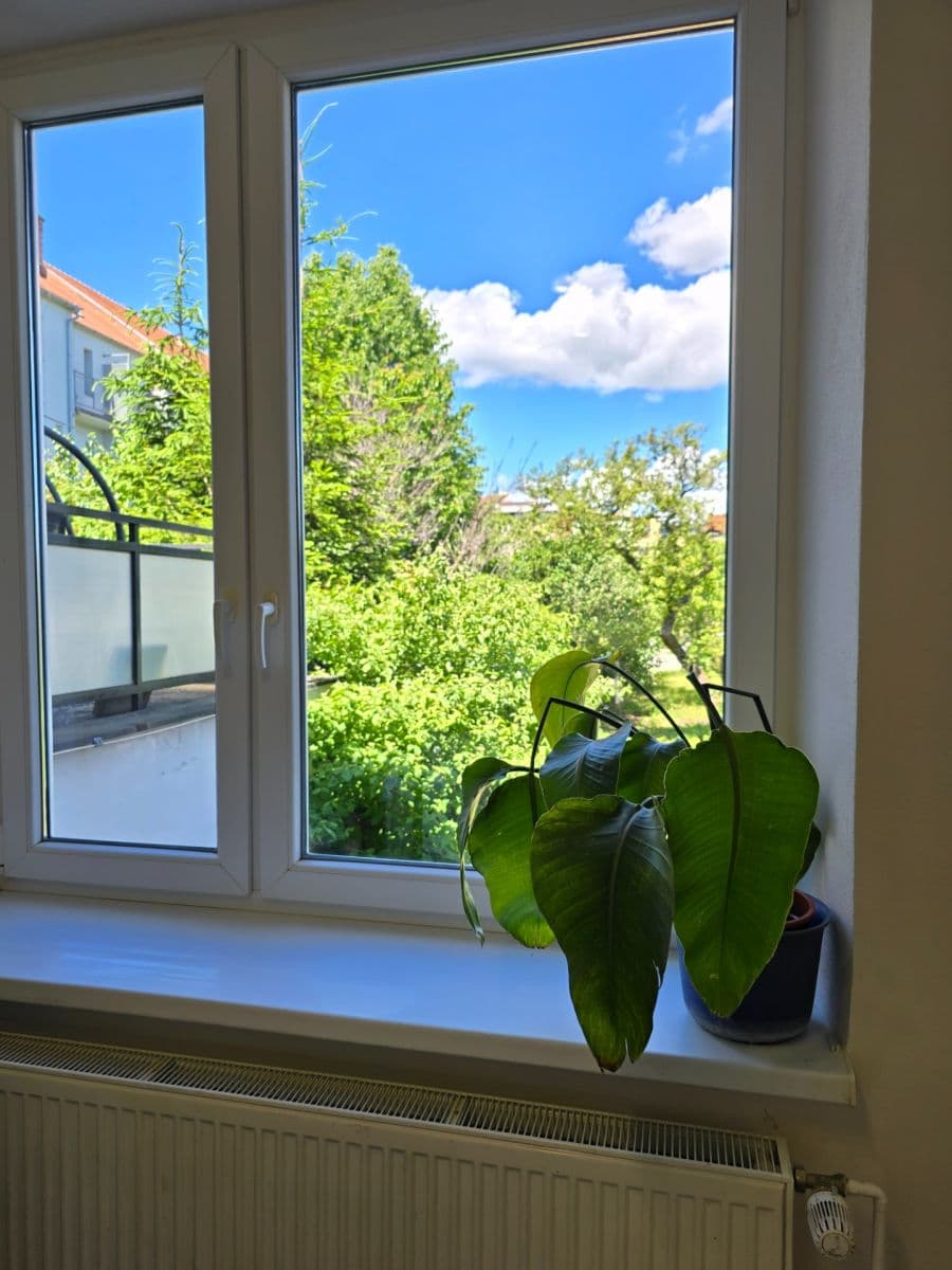 Prenájom bytu 2-izbový 37 m², Tyršova, Brno, Jihomoravský kraj Prenájom bytu 2-izbový 37 m², Tyršova, Brno, Jihomoravský kraj