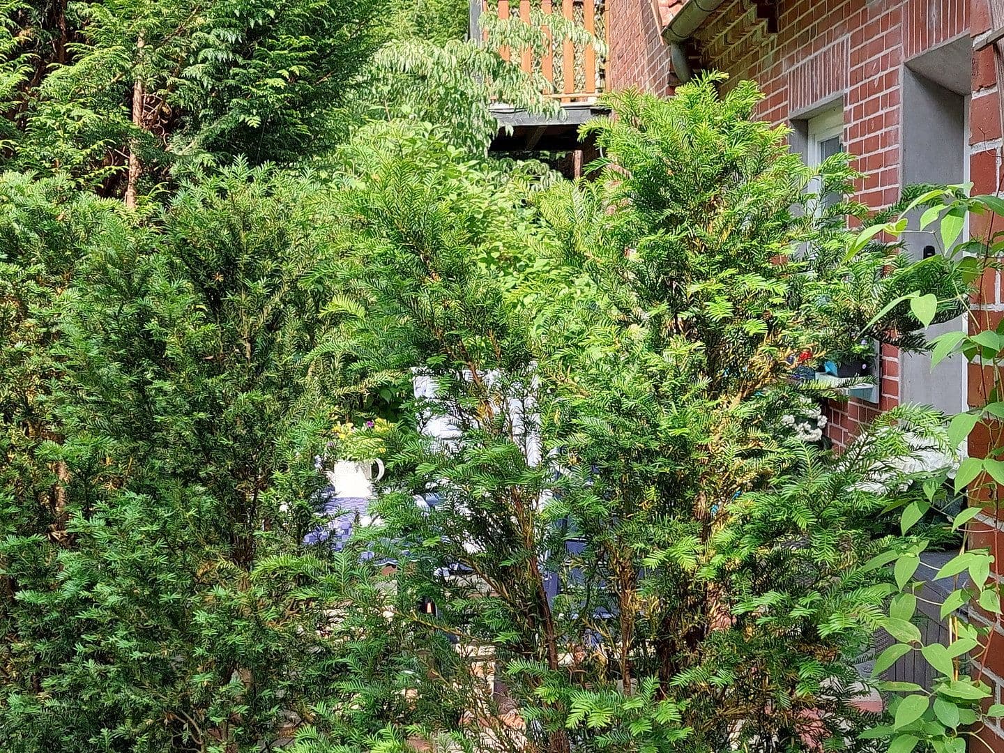 Prenájom bytu 2-izbový 68 m², Schneverdingen, Dolné Sasko Prenájom bytu 2-izbový 68 m², Schneverdingen, Dolné Sasko