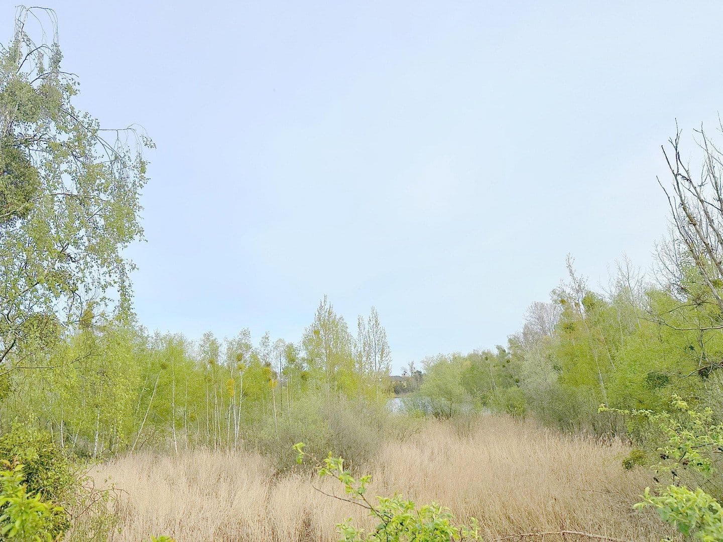 Predaj bytu 3-izbový 88 m², Spandauer Straße 149, Falkensee, Brandenbursko Predaj bytu 3-izbový 88 m², Spandauer Straße 149, Falkensee, Brandenbursko