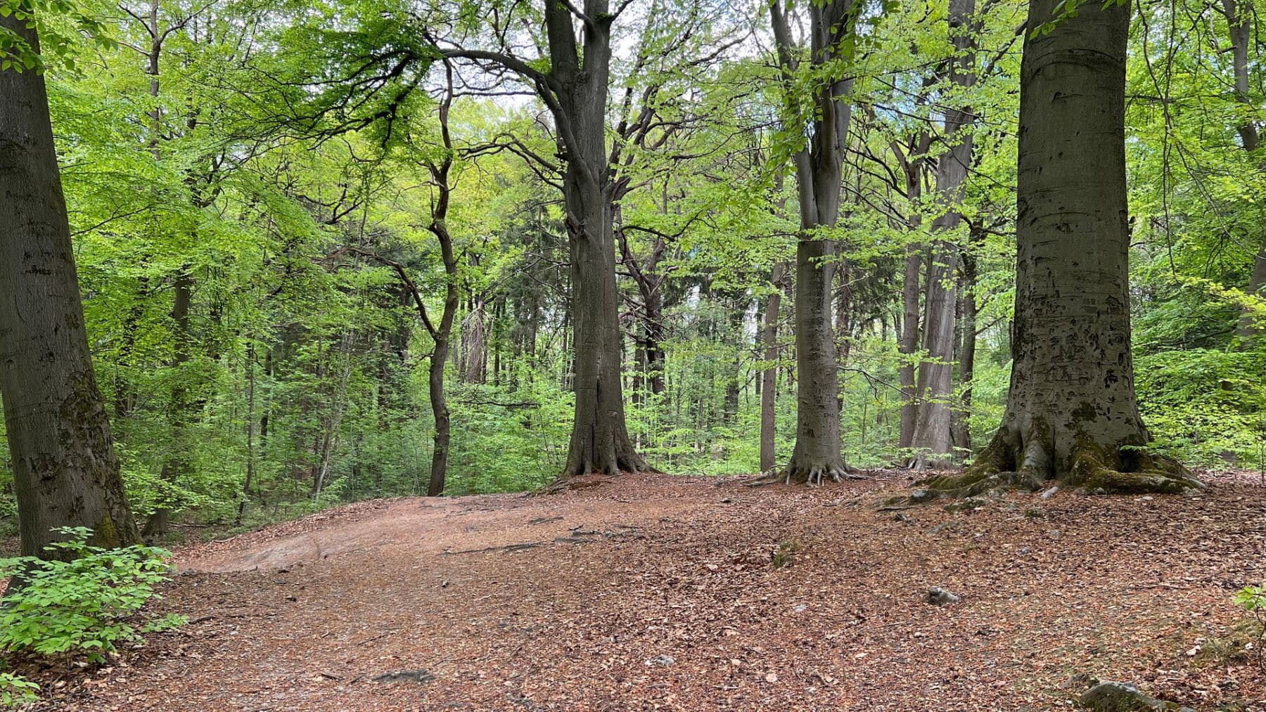 Prenájom bytu 3-izbový 92 m², Brühlstr. 27b, Wassenberg, Severné Porýnie - Westfálsko Prenájom bytu 3-izbový 92 m², Brühlstr. 27b, Wassenberg, Severné Porýnie - Westfálsko