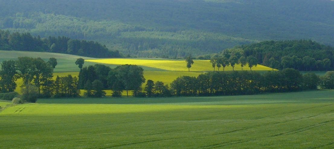 Predaj domu 400 m², pozemek 1.041 m², Bad Wildungen, Hesensko Predaj domu 400 m², pozemek 1.041 m², Bad Wildungen, Hesensko