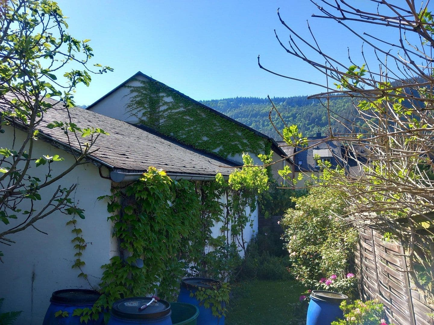 Predaj domu 255 m², pozemek 1.374 m², Traben-Trarbach, Porýnie-Falcko Predaj domu 255 m², pozemek 1.374 m², Traben-Trarbach, Porýnie-Falcko