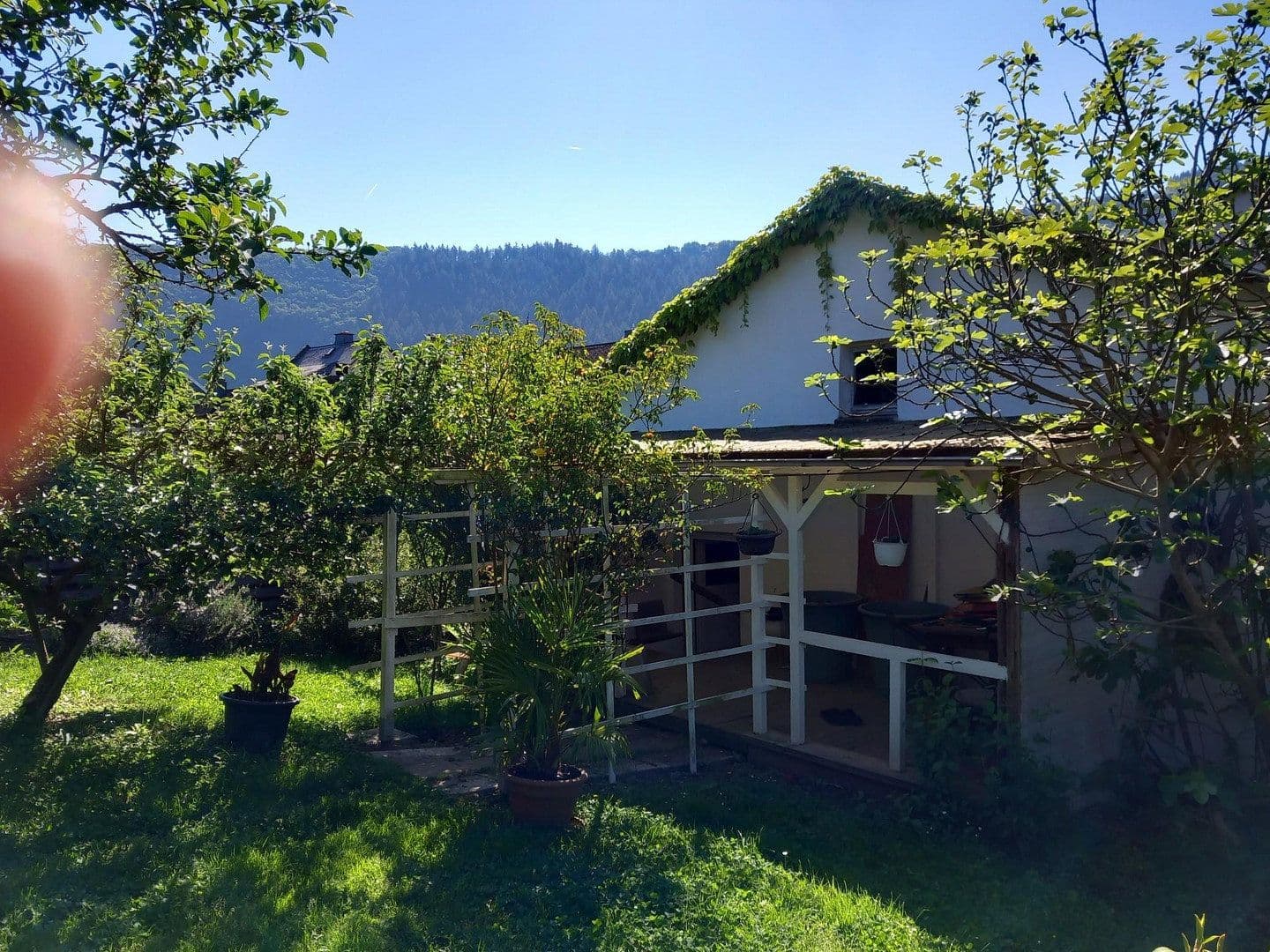 Predaj domu 255 m², pozemek 1.374 m², Traben-Trarbach, Porýnie-Falcko Predaj domu 255 m², pozemek 1.374 m², Traben-Trarbach, Porýnie-Falcko