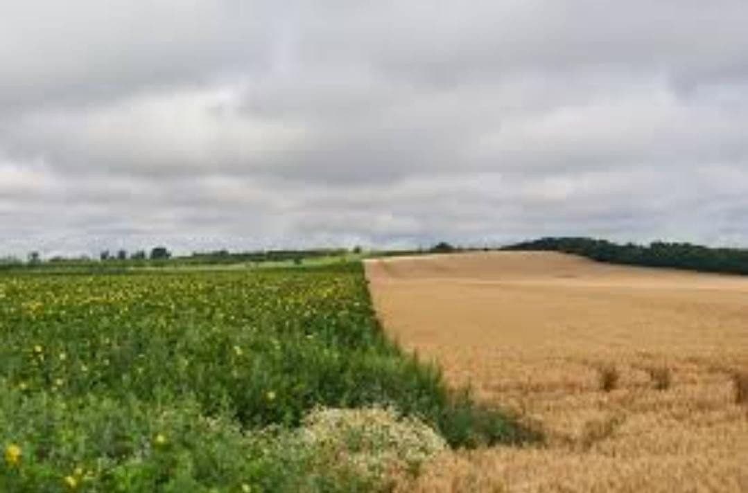 Predaj pozemku 7.395.669 m², Marktredwitz, Bavorsko Predaj pozemku 7.395.669 m², Marktredwitz, Bavorsko