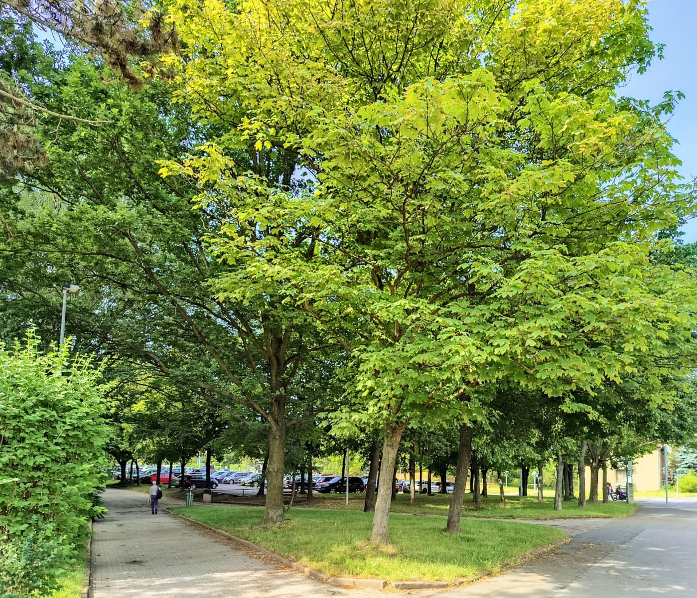 Prenájom bytu 2-izbový 40 m², Štúrova, Praha, Praha Prenájom bytu 2-izbový 40 m², Štúrova, Praha, Praha