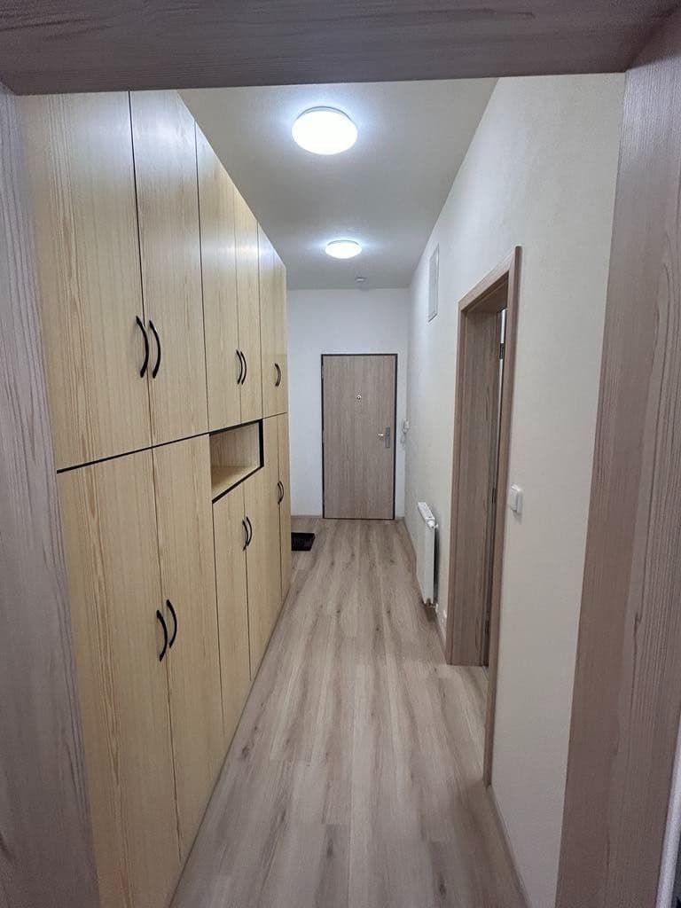 Prenájom bytu 1-izbový 33 m², Gajdošova, Brno, Jihomoravský kraj Prenájom bytu 1-izbový 33 m², Gajdošova, Brno, Jihomoravský kraj