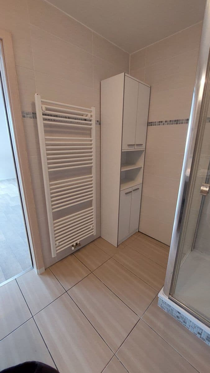 Prenájom bytu 1-izbový 42 m², Kotlářská, Brno, Jihomoravský kraj Prenájom bytu 1-izbový 42 m², Kotlářská, Brno, Jihomoravský kraj