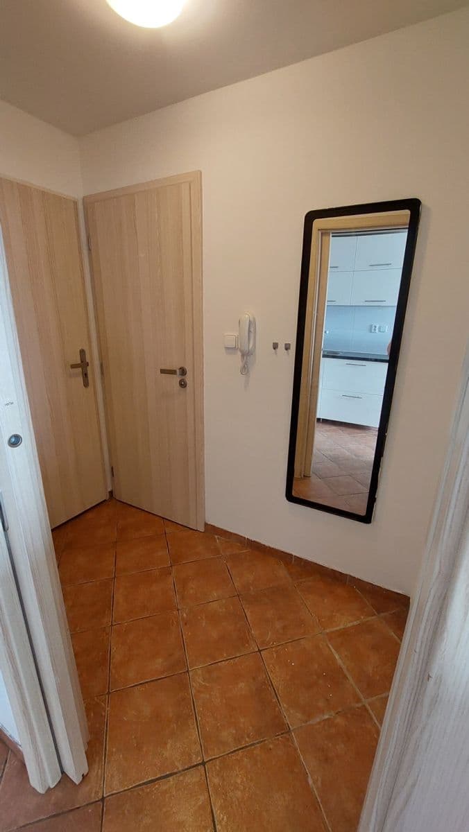 Prenájom bytu 1-izbový 42 m², Kotlářská, Brno, Jihomoravský kraj Prenájom bytu 1-izbový 42 m², Kotlářská, Brno, Jihomoravský kraj