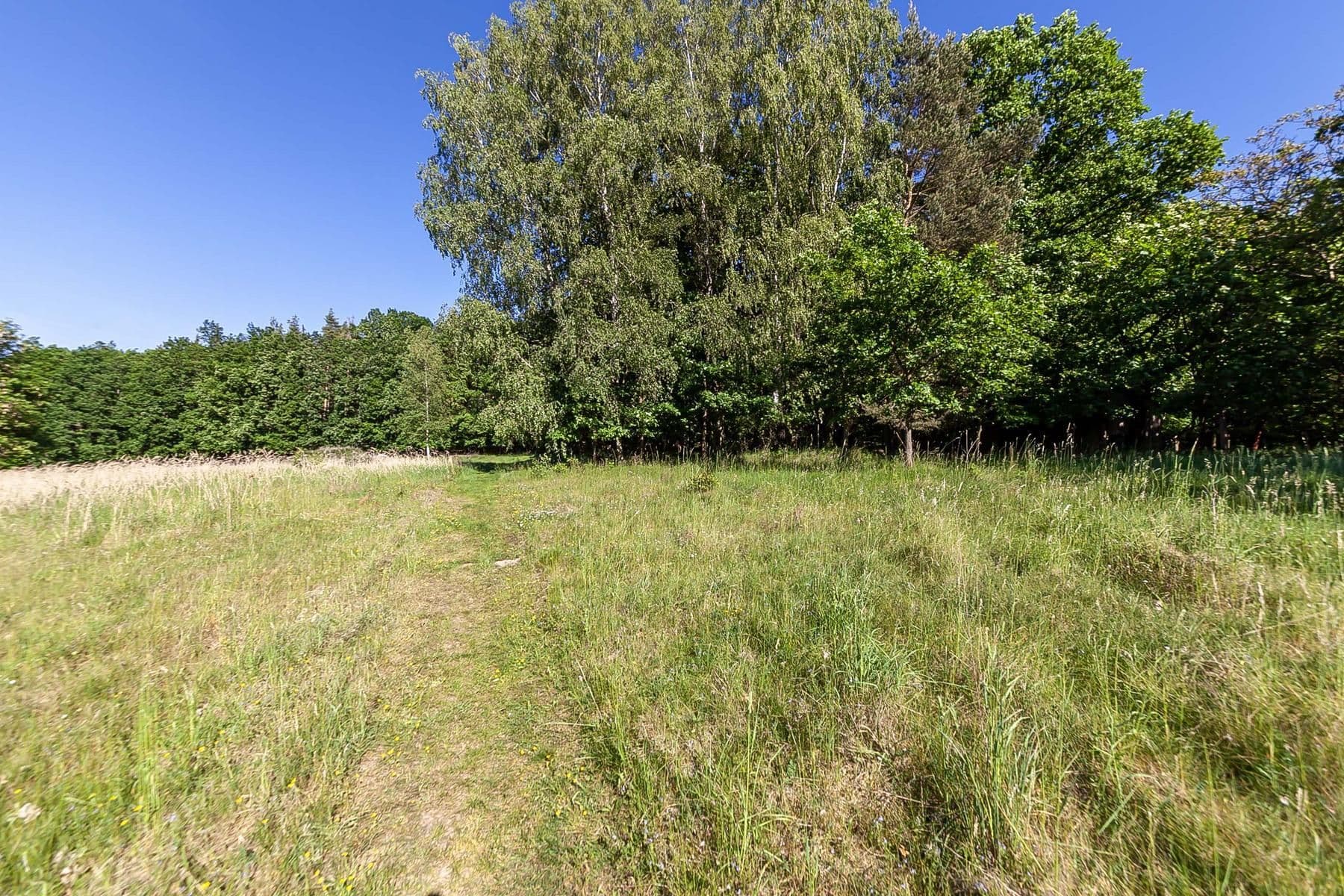 Predaj pozemku 4.612 m², Hluboš, Středočeský kraj Predaj pozemku 4.612 m², Hluboš, Středočeský kraj