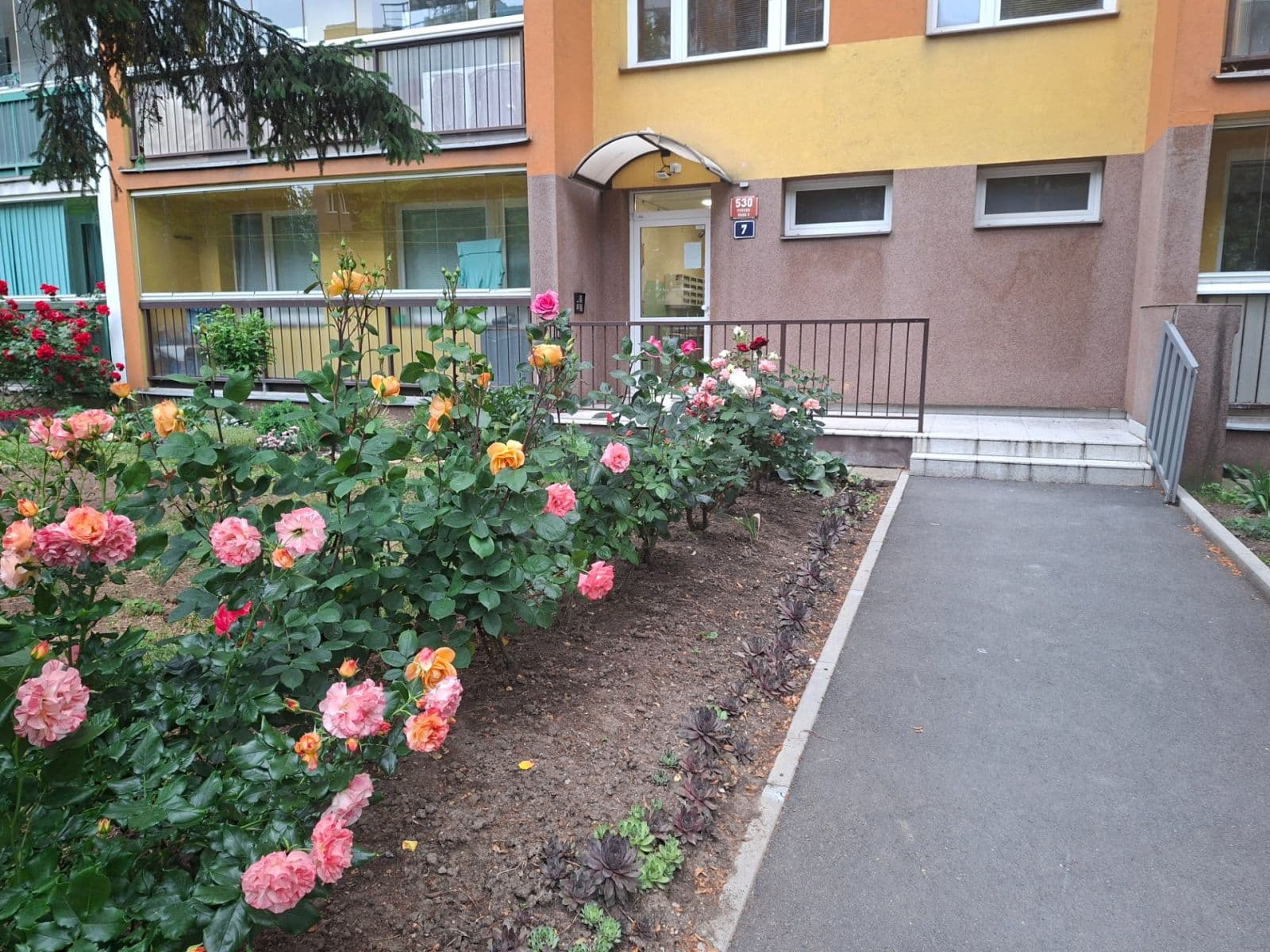 Predaj bytu 3-izbový 60 m², Veltruská, Praha, Praha Predaj bytu 3-izbový 60 m², Veltruská, Praha, Praha