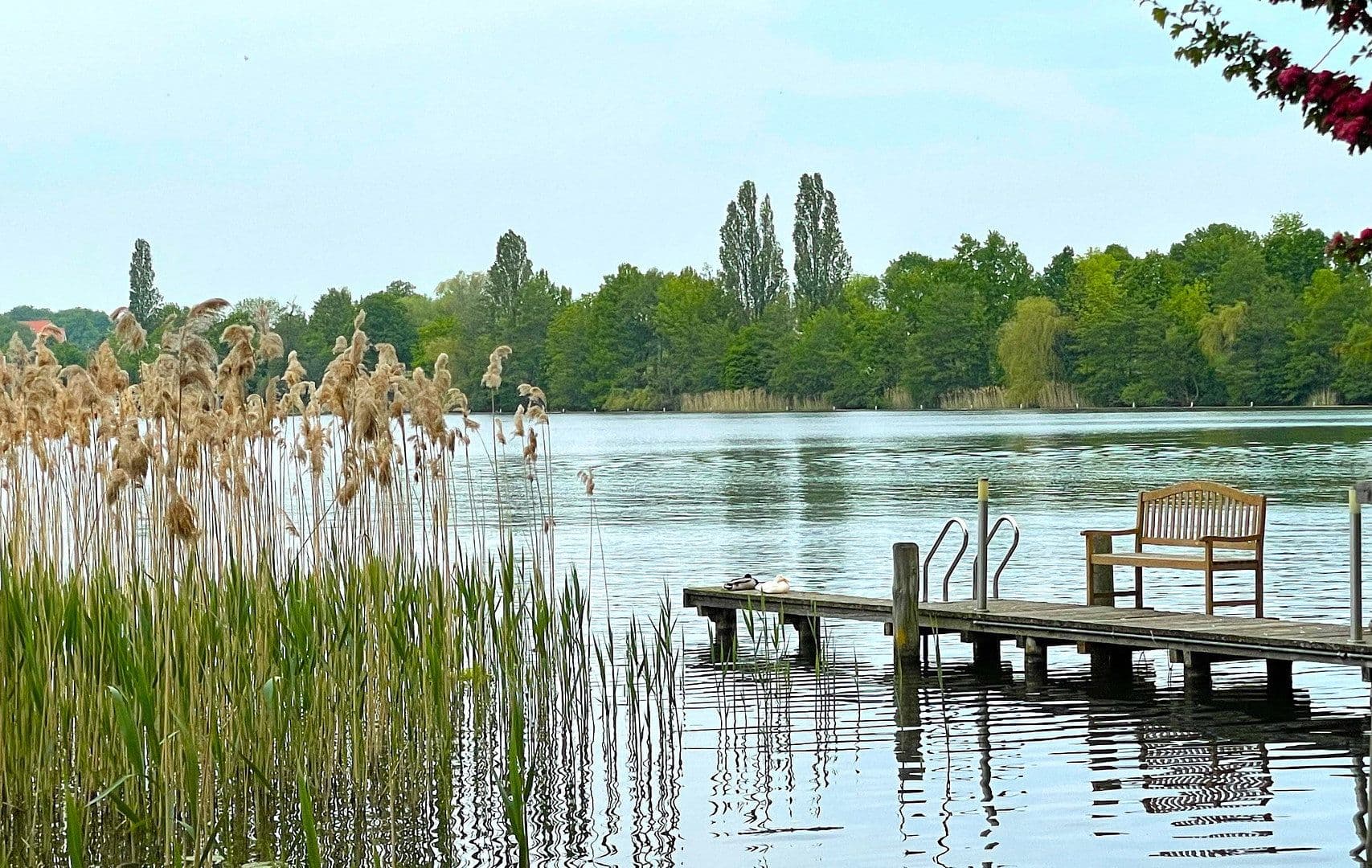 Predaj bytu 2-izbový 65 m², Neuruppin, Brandenbursko Predaj bytu 2-izbový 65 m², Neuruppin, Brandenbursko