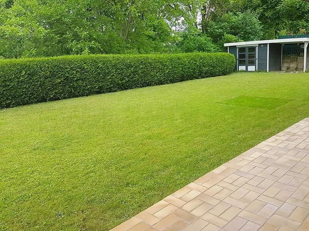 Prenájom bytu 3-izbový 125 m², Sinsheim, Bádensko-Wurttembersko Prenájom bytu 3-izbový 125 m², Sinsheim, Bádensko-Wurttembersko