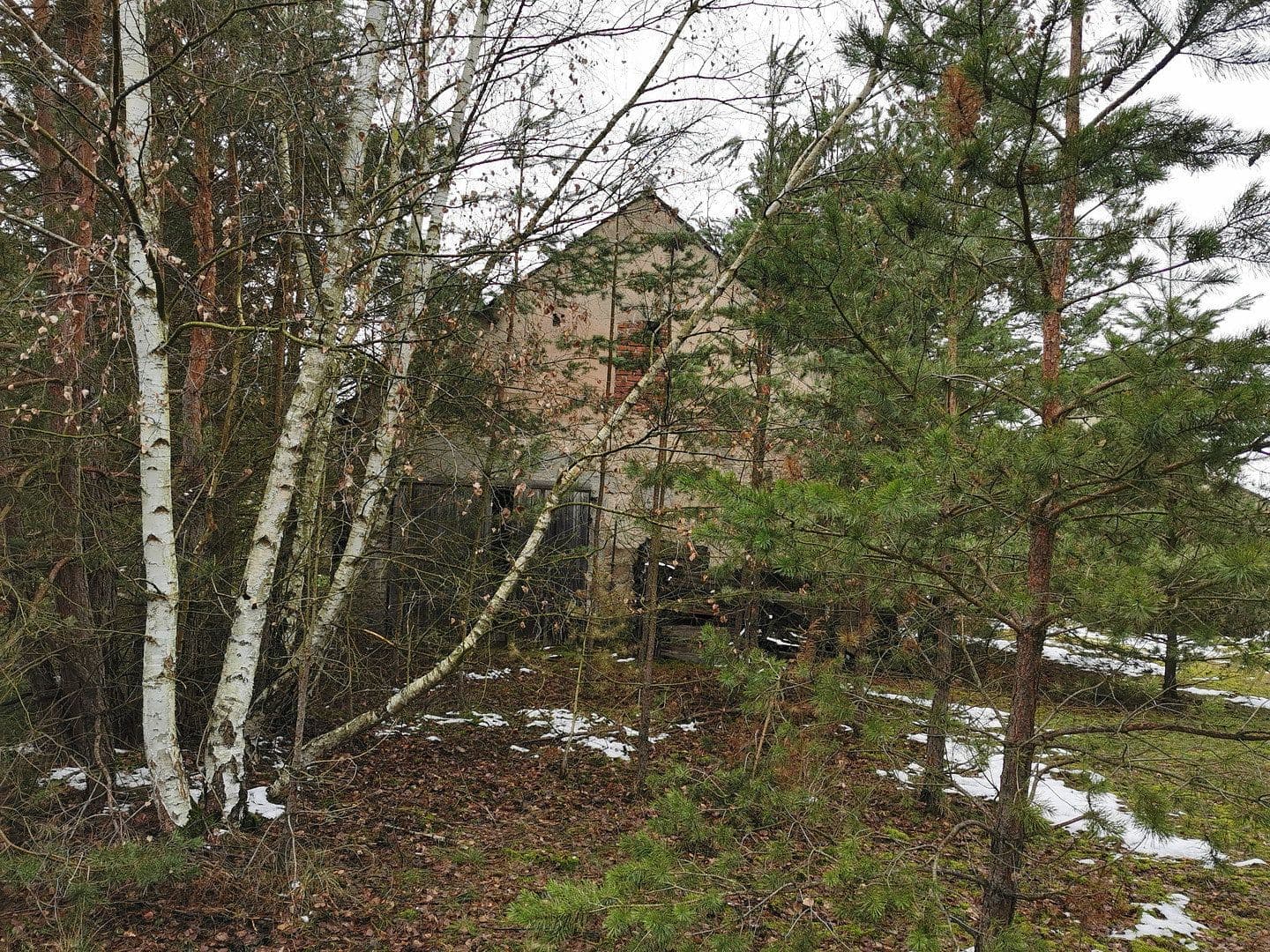 Predaj pozemku 29.279 m², Oelsig 57, Schlieben, Brandenbursko Predaj pozemku 29.279 m², Oelsig 57, Schlieben, Brandenbursko