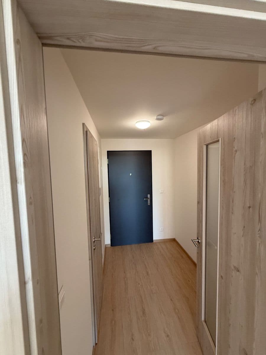 Prenájom bytu 1-izbový 32 m², Haenkeho, Praha, Praha Prenájom bytu 1-izbový 32 m², Haenkeho, Praha, Praha